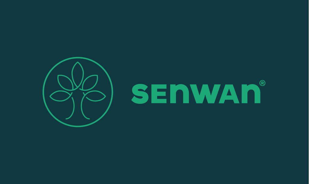 Empowering Engineers: Senwan Supports Scientific Research and Sponsors research Paper by 2 Engineers